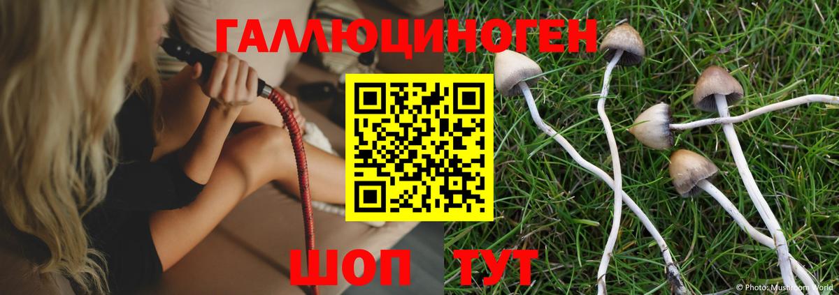 Галлюциногенные грибы Psilocybine cubensis Артёмовский