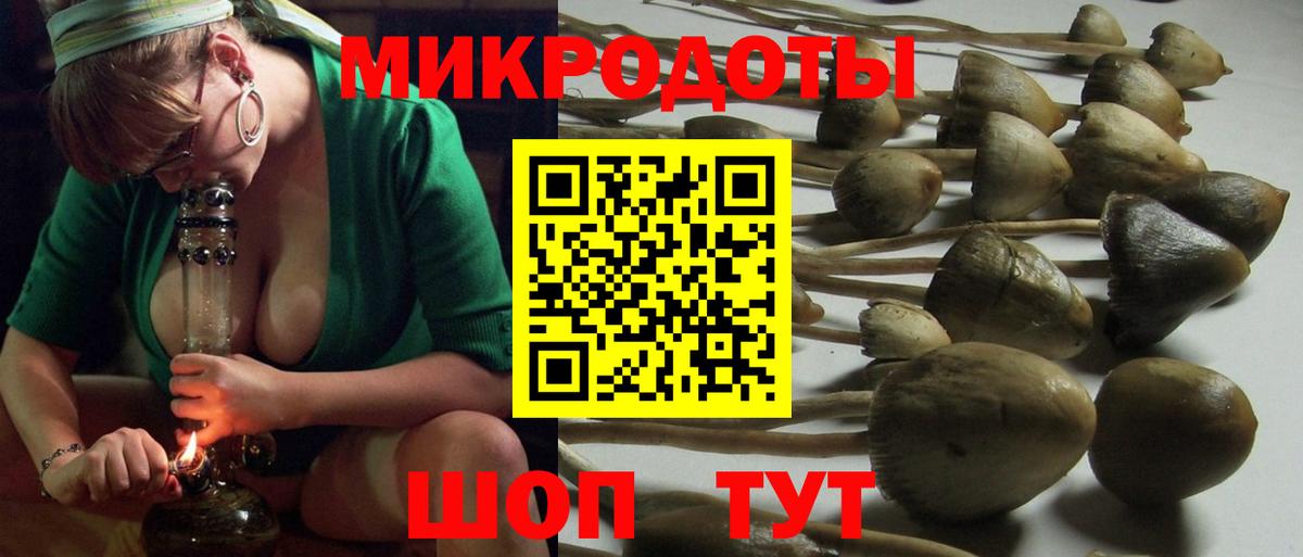 Артёмовский  Псилоцибиновые грибы GOLDEN TEACHER  даркнет сайт  Псилоцибиновые грибы прущие грибы  Вход с VPN 